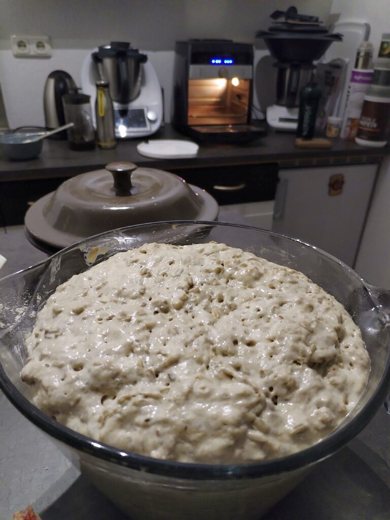 2_knetfreies_brot_pampered_chef_rezepte_uta_grundmann-abonyi_Hefeteig_IMG_20250208_224550